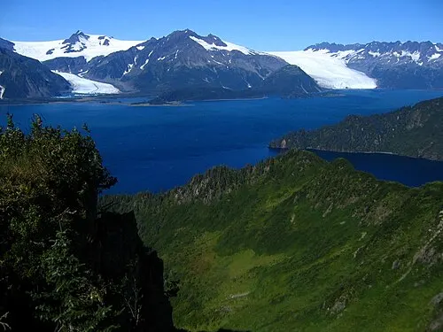 Resurrection Bay coastline near Seward, the harbor town where Kenai Fjords dining clusters.