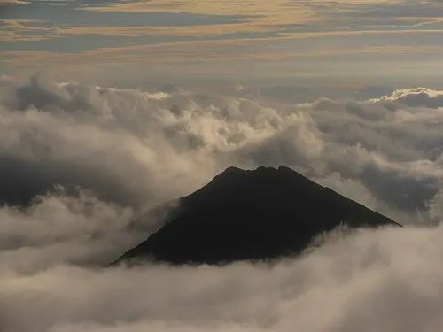 Haleakalā silversword (ʻāhinahina) rosette on a cinder slope inside the crater at sunrise under a high cloud layer.