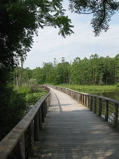 The Towpath Trail boardwalk crossing the Beaver Marsh wetland at Cuyahoga Valley National Park.
