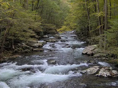 Big Creek runs over boulders in the park's northeast corner near the Tennessee/North Carolina line.