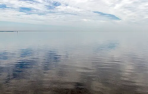 Calm shallow water of Biscayne Bay between the mainland mangrove coast and the barrier keys.