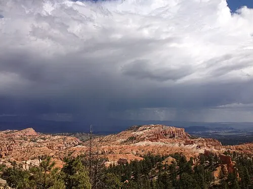 View east from Sunrise Point over the Bryce Amphitheater, with pink and orange Claron Formation hoodoos filling the bowl below the rim.