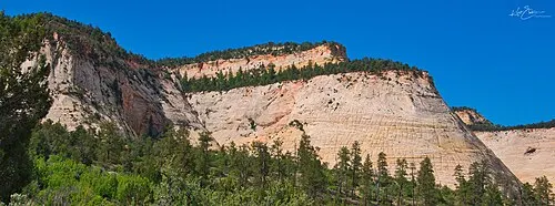 Checkerboard Mesa, a dome of Navajo Sandstone scored with a cross-hatch grid of horizontal bedding lines and vertical weathering cracks.