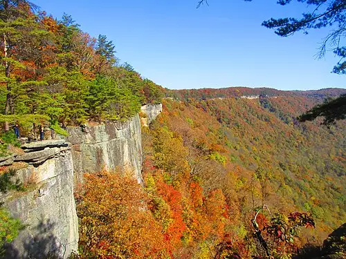The sandstone cliffline of the Endless Wall rising above the wooded north rim of the New River Gorge.