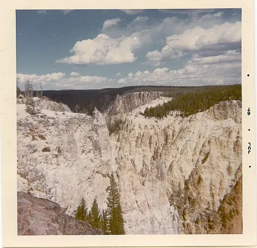 The Grand Canyon of the Yellowstone with yellow rhyolite walls and the Yellowstone River cutting through below.