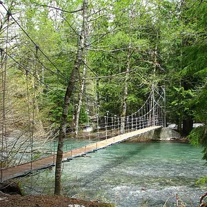 Suspension footbridge over the Ohanapecosh River leading to the Grove of the Patriarchs old-growth stand.