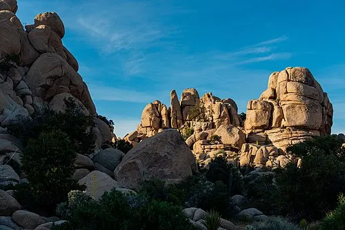 Monzogranite walls and Joshua trees ringing the Hidden Valley loop in Joshua Tree National Park.