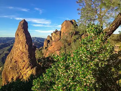 Eroded rhyolite spires of the High Peaks rising above chaparral at Pinnacles National Park.
