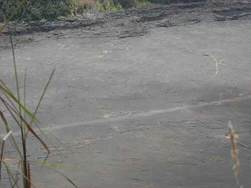 Hikers crossing the solidified 1959 lava-lake floor of Kīlauea Iki crater.