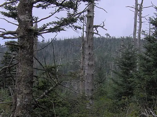 The 1959 observation tower at Kuwohi (6,643 ft), seen from Mount Love on the Appalachian Trail.