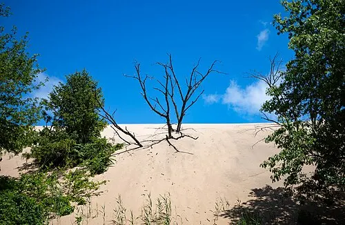 Bare sand face of Mount Baldy, a moving dune rising above the Lake Michigan shoreline at Indiana Dunes.