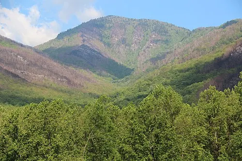 Mount LeConte from the Carlos Campbell Overlook, four subpeaks visible in profile above the foothills.