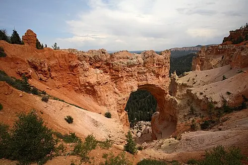 The red-rock Natural Bridge arch at Bryce Canyon, spanning a forested slope of green pines below.