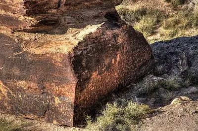 Ancestral Puebloan petroglyphs covering a boulder at Newspaper Rock, Petrified Forest National Park.