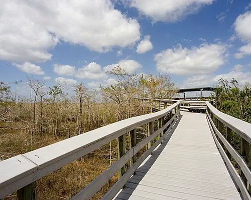 Wooden boardwalk crossing the open sawgrass river at the Pa-hay-okee Overlook, Everglades National Park.