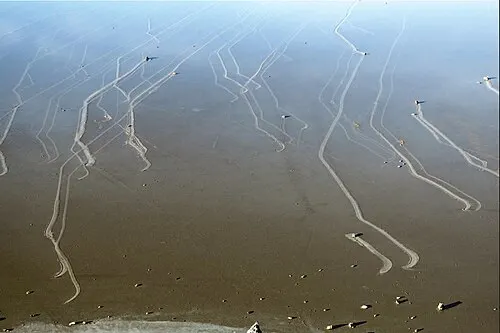 A sailing stone and its long track across the cracked mud of Racetrack Playa.