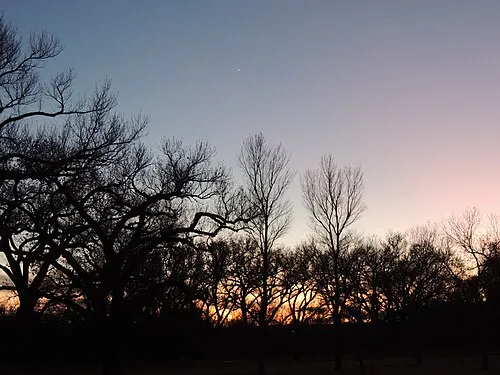 Sunset over the spring-fed cottonwoods of Rattlesnake Springs, the detached riparian unit of Carlsbad Caverns National Park.