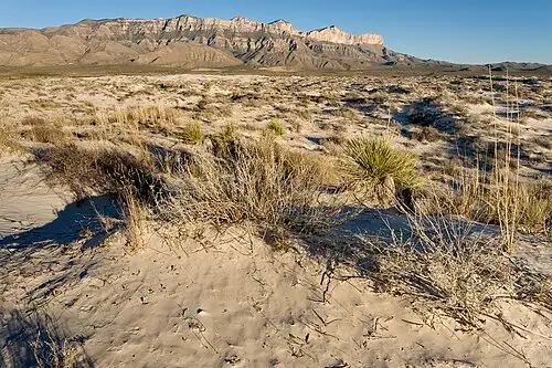 White gypsum dunes of the Salt Basin in the western unit of Guadalupe Mountains National Park.