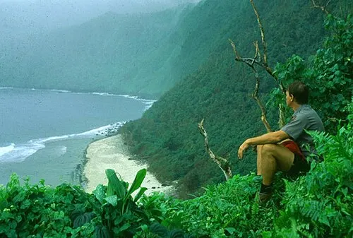 The high stairstepped sea cliffs along the south coast of Ta'u island near the sacred Saua site.