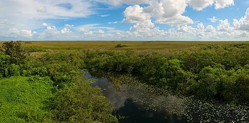 The Shark Valley observation tower rising over flat sawgrass prairie under a wide Everglades sky.