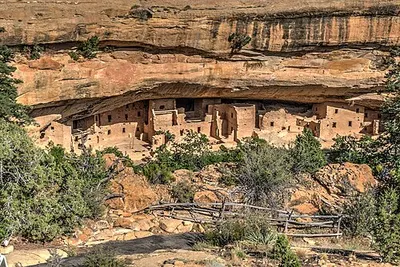 Spruce Tree House cliff dwelling viewed from the overlook behind the Chapin Mesa museum, rooms set under a curved alcove arch.