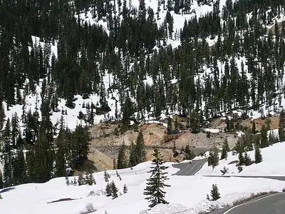 Steam venting from boiling mud at the roadside Sulphur Works hydrothermal area.