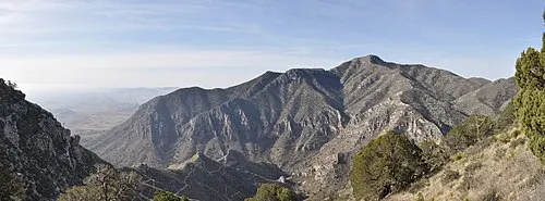 High-country conifer slopes viewed from the Tejas Trail toward Guadalupe Peak.