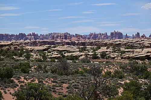 Banded red and white Cedar Mesa Sandstone spires of the Needles district seen from the Slickrock Trail.