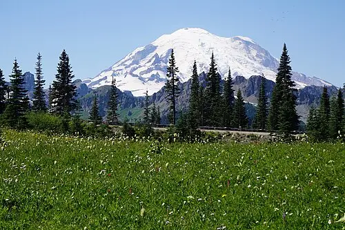 Mount Rainier seen across Tipsoo Lake at Chinook Pass with subalpine meadow in the foreground.