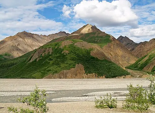 The braided gravel channels of the Toklat River below Polychrome Mountain at Mile 53.