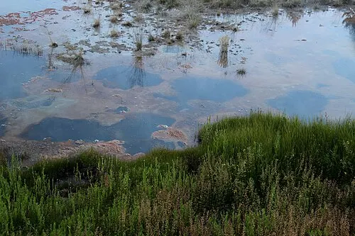 Hot-spring pools sit at the edge of Yellowstone Lake at West Thumb Geyser Basin, steam drifting over the water.