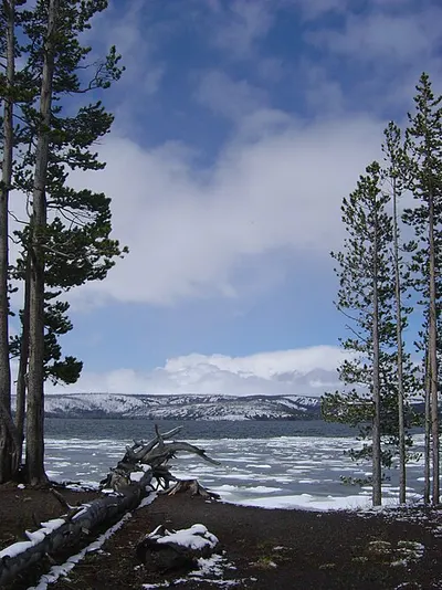 Yellowstone Lake from a shoreline with quiet water reflecting a forested horizon line.