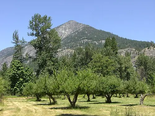 Heirloom apple orchard at the Buckner Homestead historic district in the roadless Stehekin valley.