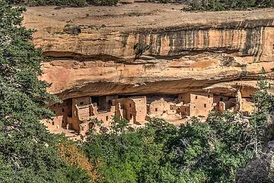 Spruce Tree House dwelling on the canyon wall below the Chapin Mesa Archeological Museum terrace.