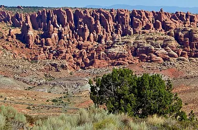 The Fiery Furnace, a labyrinth of narrow sandstone fins glowing at sunset, seen from Panorama Point.