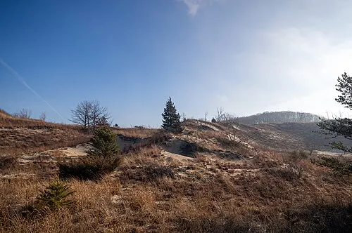 High dune ridge above Lake Michigan in the Indiana Dunes, the landscape of the enclaved state park.