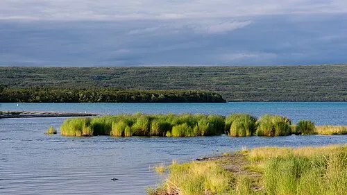 Naknek Lake and forested shoreline near Brooks Camp in the Bristol Bay region served by the King Salmon gateway.