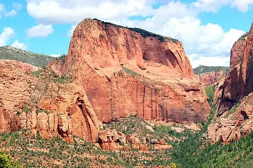 The parallel red finger canyons of the Kolob Canyons section of Zion seen from the Kolob Canyons scenic drive.