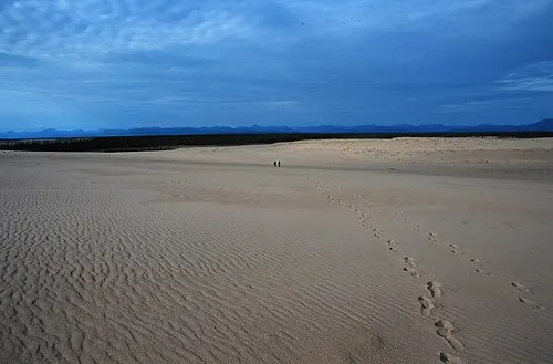 Two researchers look tiny on the expanse of the Great Kobuk Sand Dunes, the typical destination for a one-day bush-plane charter from Kotzebue.