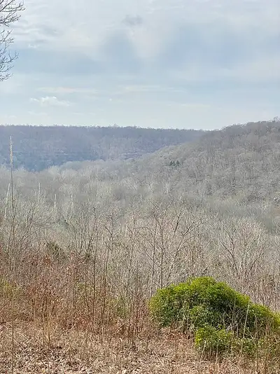 The Green River valley seen from Sunset Point at Mammoth Cave National Park, the river families paddle by canoe and kayak.