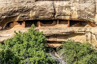 A Mesa Verde cliff dwelling of the kind kids learn to read and respect while earning the Junior Ranger and Junior Archeologist badges.