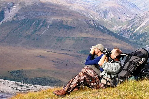 Alpine Dall sheep country in the Wrangell-St. Elias backcountry, the high terrain reached on guided trips and flightseeing.