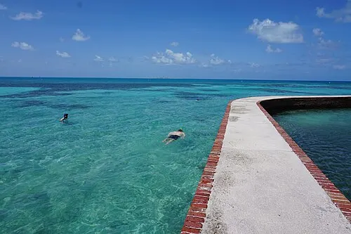 Two people snorkeling in shallow calm water along the Fort Jefferson moat wall at Garden Key.