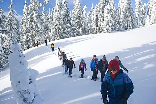 A ranger leading a snowshoe walk across deep snow on the rim of Crater Lake in winter.