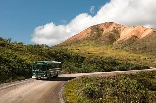 A green Denali transit bus on the Park Road, the main way families see the park beyond Mile 15.