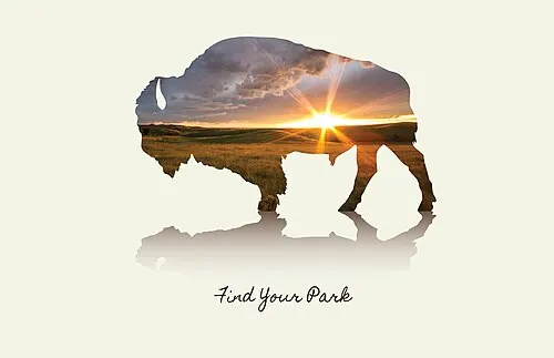 A bison grazing at sunset in Theodore Roosevelt National Park, the kind of wildlife seen from the South Unit Scenic Loop.