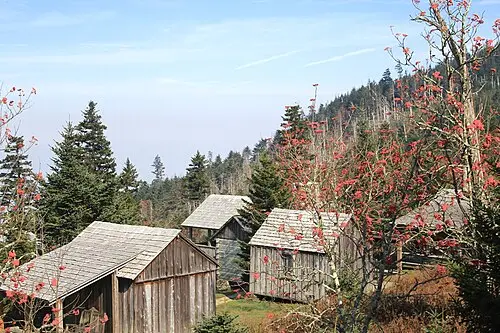 LeConte Lodge buildings near the summit of Mount LeConte, the only non-camping overnight inside the park.