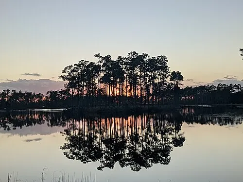 Sunset over a small island at Long Pine Key Campground in the pine rockland of Everglades National Park.