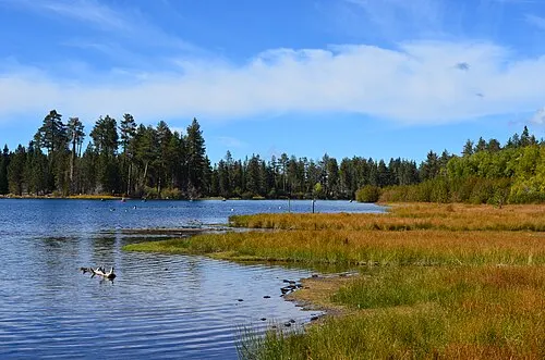 Fall color along the shore of Manzanita Lake near the park's largest campground.