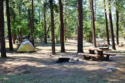 A wooded campsite at Mather Campground in Grand Canyon Village on the South Rim.